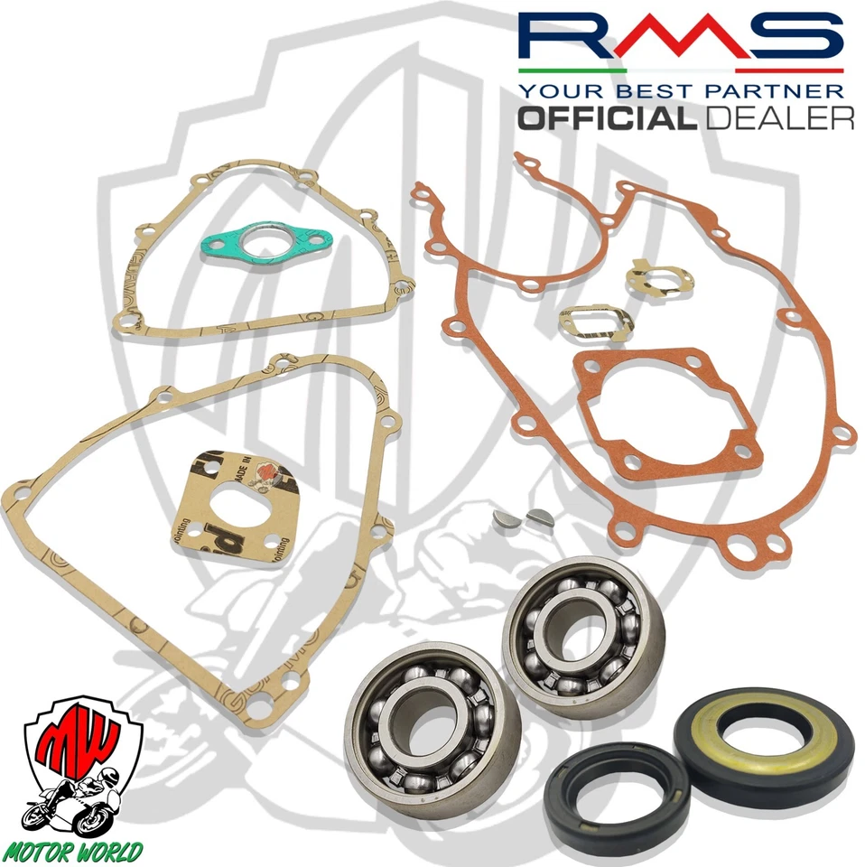 KIT REVISIONE MOTORE CONO 20 CUSCINETTI SKF GUARNIZIONI PARAOLI Ape 50 FL3 Europ - Immagine 1 di 1
