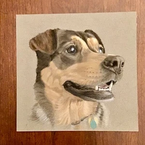 Original Watercolor Gouache Painting Dog Portrait Signed KC Artist Sandra Mehl - Picture 1 of 8