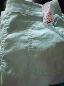 *Womens Mint Green Capris. 6p. Chrisopher & Banks. Elastic Waist. Sale. N.W.T.* - Picture 1 of 5