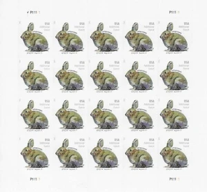 US Brush Rabbit Additional Ounce 24c Stamp Scott #5544 - Picture 1 of 1