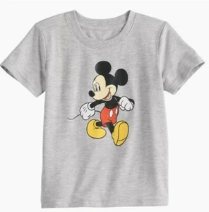 NWT DISNEY MICKEY MOUSE FAMILY FUN GRAY SHIRT MEN'S SZ M, XL,  2XLT - Picture 1 of 1