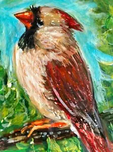 ORIGINAL ACEO BIRD Painting Female Northern CARDINAL Spring Nature Bird ATC ART - Picture 1 of 1