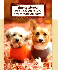 Happy Thanksgiving Corgi Corgis Shih Tzu Thankful For You Hallmark Greeting Card - Picture 1 of 3