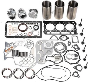 D902 Engine Overhaul Rebuild Kit for Kubota RTV900 RTV900G RTV900G9 RTV900R - Picture 1 of 20
