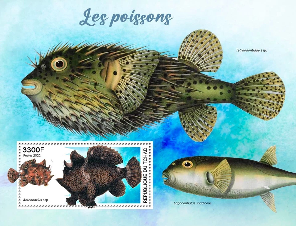 Estampillas de peces MNH 2022 Chad S/S Foto 1 de 1