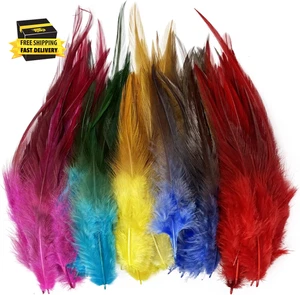 200 PIEZAS Sillín Hackle Gallo Pluma para Artesanías, 5-7 Pulgadas Cuello Faisán Natural - Imagen 1 de 4