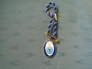 2017 DATED PHYLLIS COURT CLUB HENLEY ROYAL REGATTA - ROWING ENAMEL PIN BADGE - Picture 1 of 3