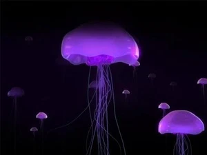 FOTO DE PÓSTER BRILLANTE DE MEDUSAS PÚRPURA mar profundo tentáculos fríos 1706 - Imagen 1 de 1