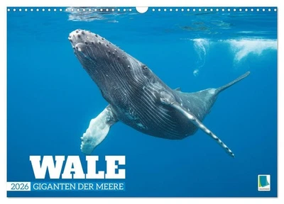 CALVENDO, CALVENDO Wale: Giganten der Meere (Wandkalender 2026 DIN A3 quer), CALVENDO Monatskalende