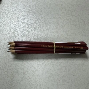 Britain Chemi-Sealed Berol Graduate HB Classroom Pencils X12 - Picture 1 of 4