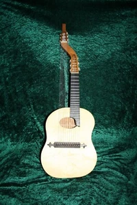 CHITARRA OTTAVA TEORBATA,CHITARRA A CONTRACCOLPO,CHITARRA A SCATTO,AUTOCOSTRUZIONE,PRONTA DA SUONARE - Foto 1 di 23