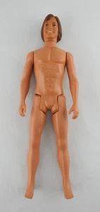Muñeca de colección Kenner Shaun Cassidy Joe Hardy 1978 Hardy Boys Hong Kong sin ropa - Imagen 1 de 8