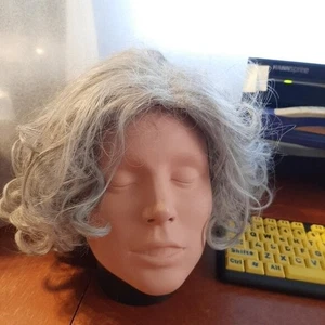 NEW ! Women Wig 12" In Heat Resistant Hair Synthetic Curve Wig Light Gray - Picture 1 of 5