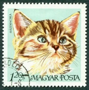 HUNGARY 1968 1fo20 SG2339 used NG Cats Domestic kitten ##a1 - Picture 1 of 1