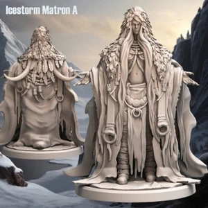 Icestorm Matron A - Frost Tribe - Miniature D&D ou Wargaming 32 mm - Photo 1/1