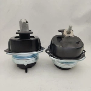 22116795417 Montaje motor izquierdo+derecho para BMW X5 X6 E70 E71 - Imagen 1 de 4