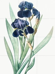 Piastrella murale/mosaico pannello ceramica di iris fiore arte da parete - stampa botanica - Foto 1 di 4