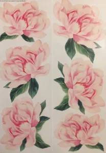 PEONY DREAMS Rosa Peonías Flores Pegatinas de Pared 6 Calcomanías Grandes Decoración Jardín - Imagen 1 de 1