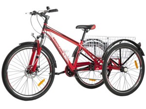 3 wheel bike with coaster brakes