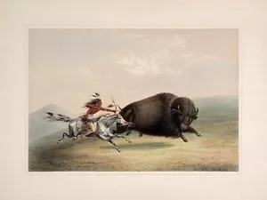 Catlin North American Indian Portfolio: "Buffalo Chase" (1844) — Fine Art Print - Picture 1 of 7