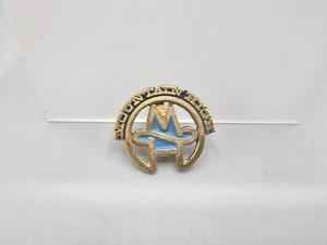 Prendedor de sombrero de solapa de esquí de montaña vintage - Imagen 1 de 2