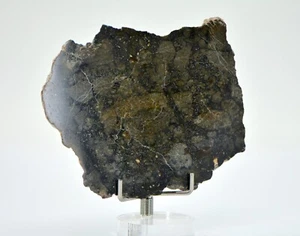 22.46g Eucrite Monomict Slice | HED NWA 8555 - TOP METEORITE - Picture 1 of 4