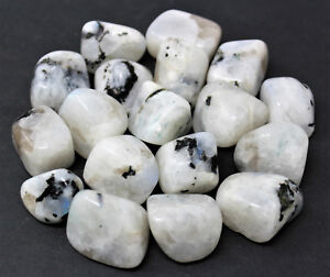 1/4 lb Lots Tumbled Stones: Choose Type (Wholesale Bulk, Crystal Healing, 4 oz) 