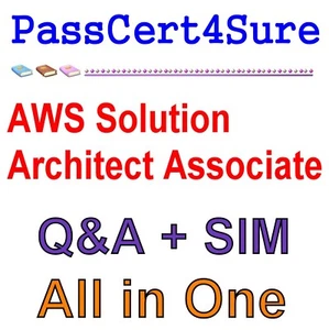 AWS Certified Solutions Architect - Associate SAA-C01 Exam Q&A+SIM - Picture 1 of 1