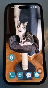 Apple iPhone 16 Pro - 256 GB - Natural Titanium (Ohne Simlock) wie Neu - Bild 1 von 8