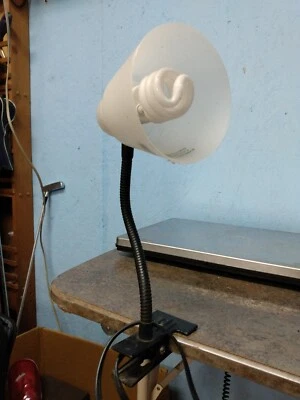 Asia Lighting - Modelo CL-303 - 120V - Lámpara Clip - Lámpara de Escritorio (tr) Foto 1 de 4