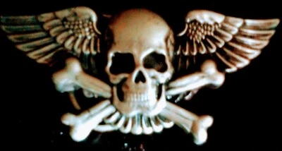Baron skull and crossbones belt buckle  - Image 1 of 3