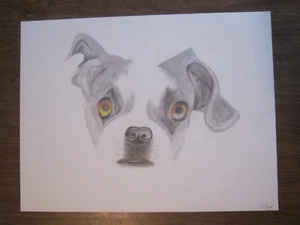 Original Graphitkunst "Prissy" von Brian 2017, 18" x 24", ungerahmt (033-2) - Bild 1 von 4