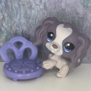 💜Auténtico Littlest Pet Shop LPS Cocker Spaniel #672 púrpura exclusivo de Costco💙 - Imagen 1 de 11