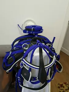 JUEGO DE ARNÉS DE CONDUCCIÓN DE NAILON DOS TONOS AZUL/BLANCO PARA UN SOLO CABALLO EN TODOS LOS TAMAÑOS - Imagen 1 de 1