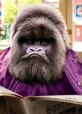 Funny HAPPY FATHER'S DAY Card FOR DAD, Grumpy Gorilla Gray Hairs by Avanti +✉ - Image 1 of 4