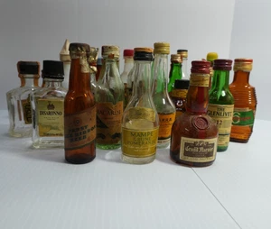 Lot of 24 Vintage EMPTY Mini Alcohol Liquor Miniature Bottles RARE BOTTLES - Picture 1 of 11