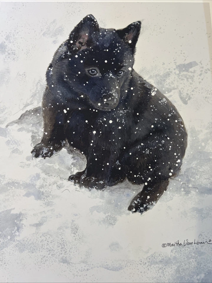 Schipperke In Snow цветная печать от Martha Van Loan 11x17 - Изображение 1 из 1