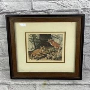 Vintage 1960’s Era Foxes Print By Gene Gray Matted in Brown & Black Wood Frame - Picture 1 of 5