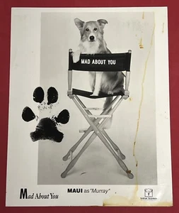 Foto de Mad About You MAUI como “Murray” TriStarv Television 10”x8” - Imagen 1 de 1