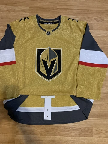 Adidas Vegas Golden Knights Blank Authentic NHL Hockey Jersey 60 Cover