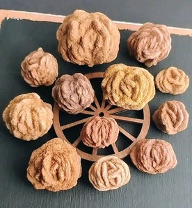 Red Barite Rose Rock From Oklahoma - The World's Most Beautiful Roses - Picture 1 of 8