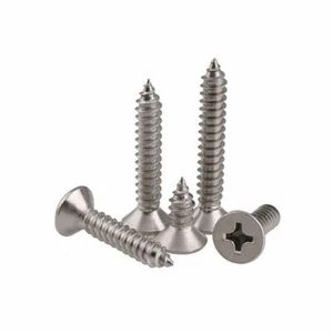 Tornillos autogolpes Phillips de acero inoxidable contrahundido cabeza plana M4 M5-M8 304 - Imagen 1 de 6