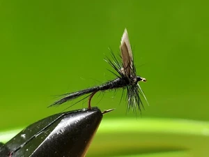1 Dzn - Negro Gnat - Trucha mosca seca - Imagen 1 de 1