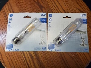 2 LED Light Bulbs, T10 Type, Clear, 4-Watts - Picture 1 of 6