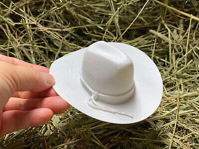 12 Pc 4  White Mini Cowboy Hats For Arts And Crafts Doll Hats For Toys And Decor • 20.03$
