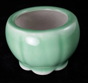 "Cactus redondos finos y suculentas, Keishi, Shito, Mame bonsái olla + malla 3""x 3""x 2" - Imagen 1 de 11