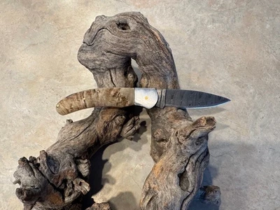 Big Damascus folding blade knife w/ Rams horn handle - Image 1 of 4