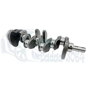 Crankshaft 23111-2G010 Fit for Hyundai Tucson Santa Fe KIA Forte Optima 2.0L New - Foto 1 di 12