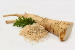 10 graines de RAIFORT(Armoracia Rusticana)WASABI ALSACIEN H868 HORSERADISH SEEDS - Picture 1 of 6