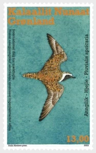 GREENLAND 2023 FAUNA Animals BIRD - MNH - Picture 1 of 1